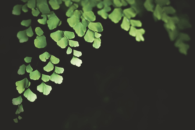 Team collaboration visual